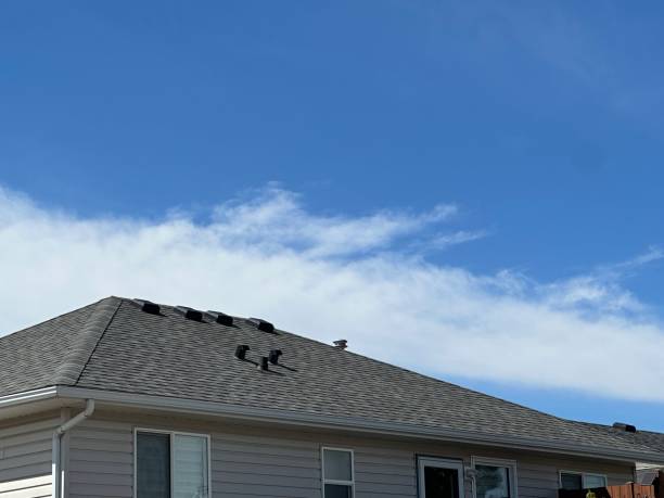 Best Roof Coating and Sealing  in Gautier, MS